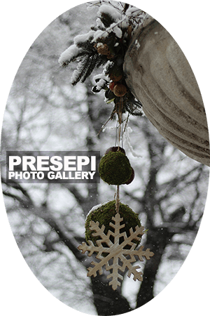 CLICCA per la GALLERIA FOTOGRAFICA