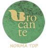 Torna su